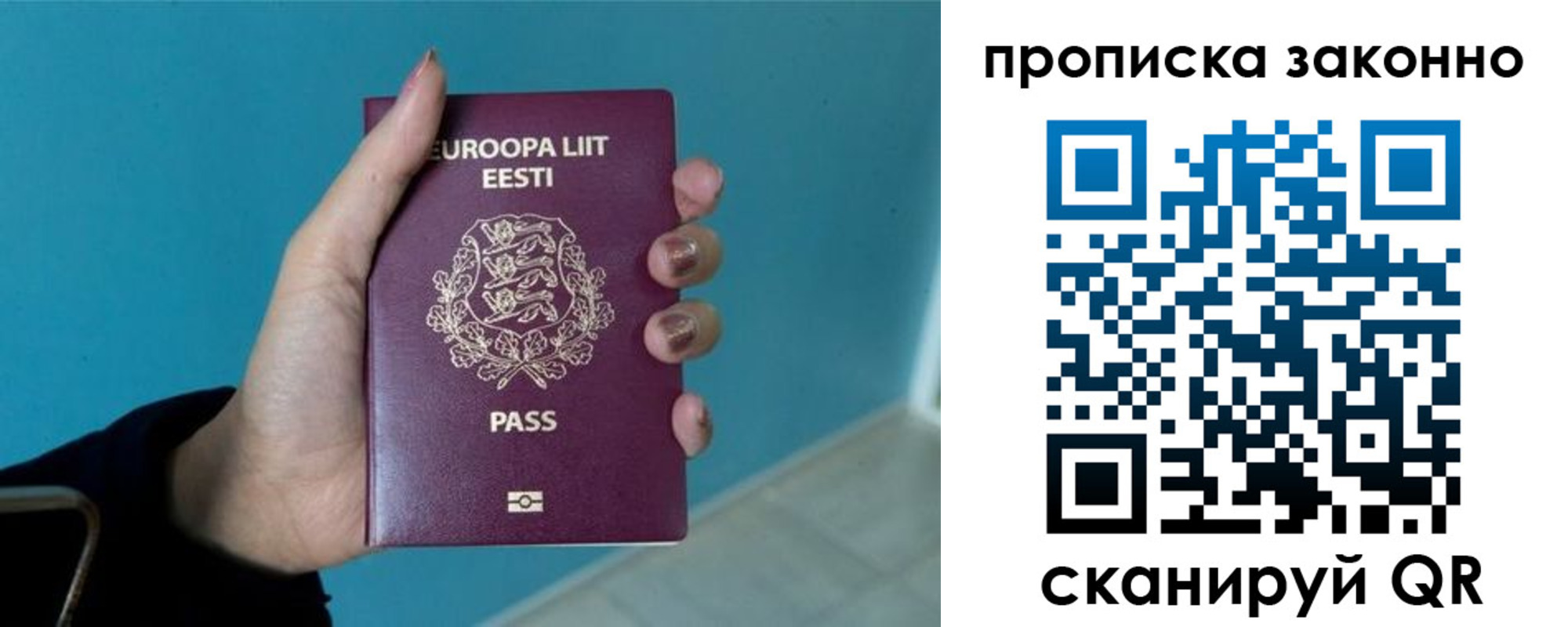 прописка гарантия в Владимире