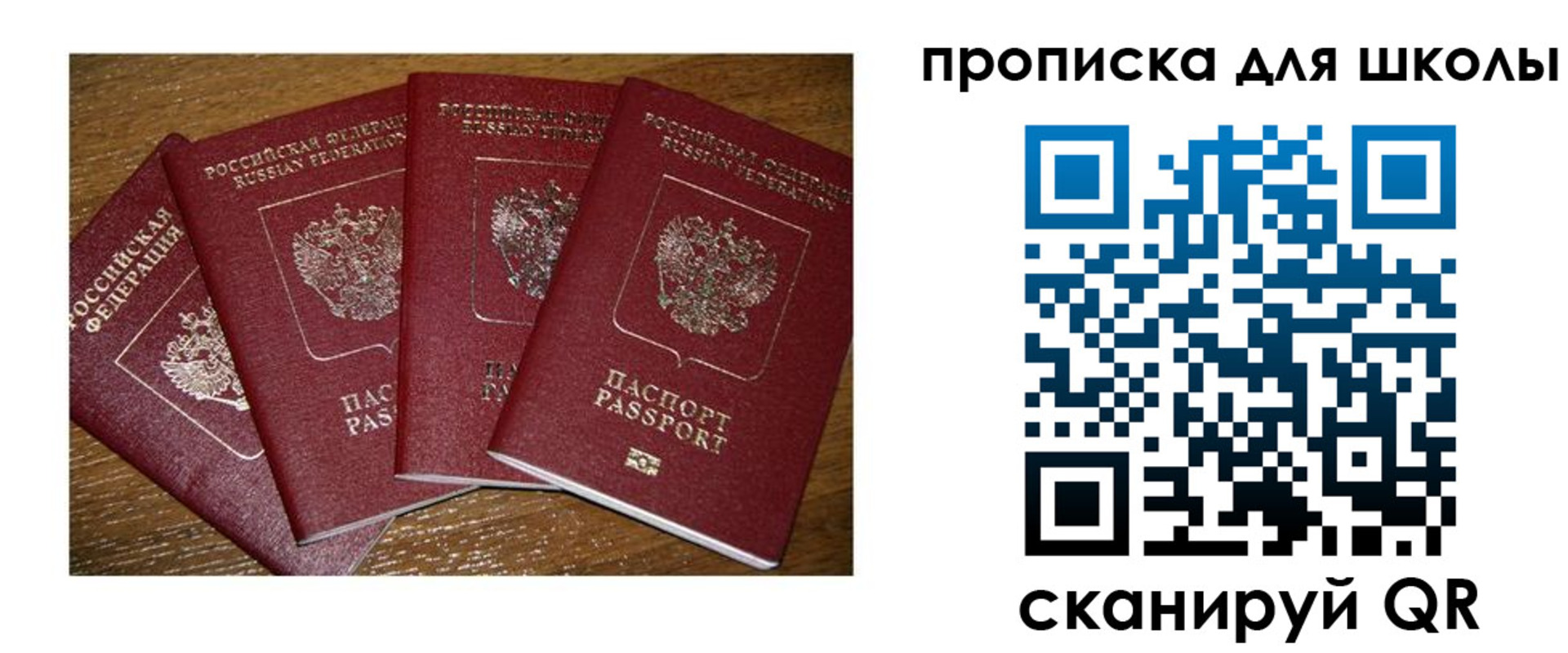 прописка штамп в Владимире